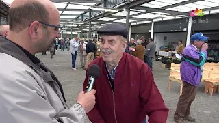 FEIRA GADO 09- 04 -2023 COM UMA CANTORA