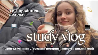 study vlog // пробники, русский, общество, подготовка к егэ 💫