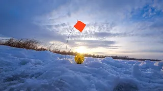 Пришел проверять жерлицы,и был в ШОКЕ!Щука не лезет в лунку!Леска срывается с рук!Лучшая рыбалка!