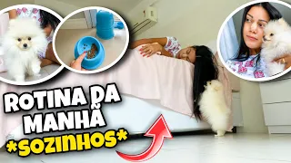 ROTINA SOZINHA COM MEU CACHORRINHO! *eita* 🔥👀🐾