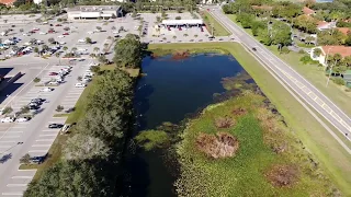 DJI  MAVIC AIR СЪЕМКА КВАДРОКОПТЕР Живой уголок птиц. Обзор с дрона. Sarasota Florida. Park. Nature.