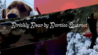 Prickly Pear by Portico Quartet