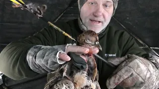 Winter Pheasants Part 1 - Tales From the Willows - Traditional Bowhunting