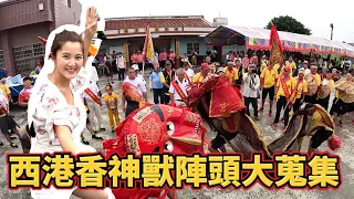 西港香神獸陣頭大蒐集｜蜈蚣陣!金獅陣!白鶴陣!五虎平西!｜宋江陣的巢穴太精彩啦! #西港香 #金獅陣 #宋江陣 #白鶴陣