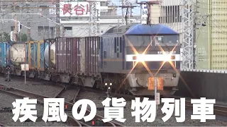 【貨物列車】疾風の貨物列車 全27本　初撮影の新踏切でハプニング発生！大雨による遅延にも負けずに今日も走る大迫力の貨物列車　Powerful freight train