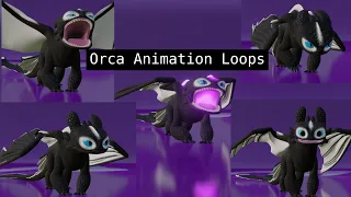 Orca Loop Animations | Blender 3D