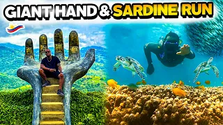 Swimming with TURTLES & the SARDINE RUN in Cebu, Philippines  🇵🇭  Lupa Lupa | Giant Hand Travel Vlog