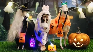 ХЭЛЛОУИН И ЛОШАДИ-HALLOWEEN AND HORSES-TREAK OR TREAT-ЛОШАДИ БРЕЙЕР БРЕЕР ХЭЛЛОУИН?Breyer Halloween