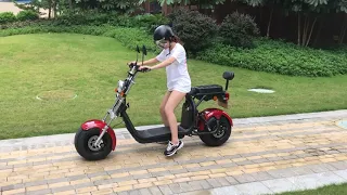 Big Harley Citycoco IV Electric Scooter 1000W 60V | Rental "Car" Review