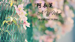 [Vietsub + Pinyin] ♪ A Y Mạc - A Cát Thái Tổ Hợp | 阿衣莫 -  阿吉太组合 ♪