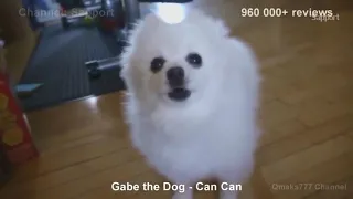 TOP 1 GABE THE DOG REMIX Топ 10 Гейб собак Ремикс #Ripgabe * 10000000000 часов