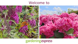 Welcome to Gardening Express