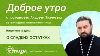 О СЛАДКИХ ОСТАТКАХ, об избранных среди людей, о истреблении и спасении. Протоиерей Андрей Ткачев