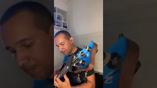 Eu gosto assim (Bass cover)