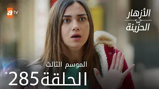 مسلسل الأزهار الحزينة | الحلقة 285 - الموسم الثالث