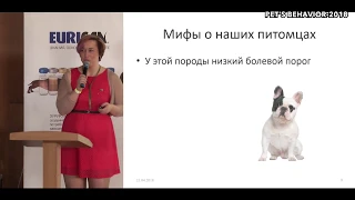 "Боль в жизни животных. Что нужно знать владельцу?" Татьяна Краснова на "Pet's behavior - 2018"