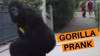 London Zoo Gorilla Vs. Banana Prank | Funny #125