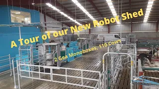 Milking Cows with Robots, 2x GEA Monobox , New Shed layout on greenfield site