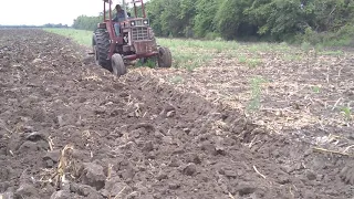 Tractor internacional 1086 trabajando