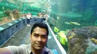 Ripley's Aquarium Toronto 2018!!!
