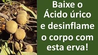 Baixe o ácido úrico e desinflame seu corpo com esta erva medicinal! | Dr. Marco Menelau