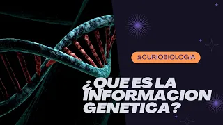 ¿Que es la Información Genética?