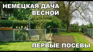 Готовим землю к посадке. Первые посевы. Свое вино. Ведарай (литовские картофельные колбаски)