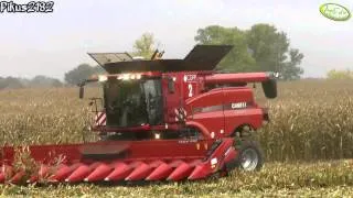 Koszenie kukurydzy Case IH AXIAL FLOW 9230 i 8230