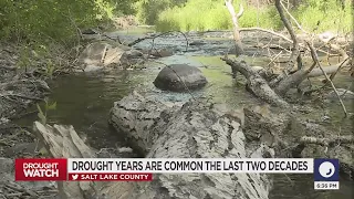 BYU Professor: Tree Rings Reveal We May Be In A Megadrought