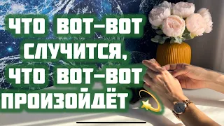 Что вот-вот случится, что вот-вот произойдет 💫