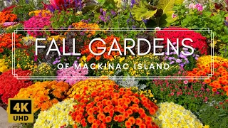 Fall Garden Walking Tour | Amazing Colors and Relaxing Music on Mackinac Island, Michigan