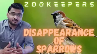 Why have Sparrows disappeared || Lifestyle of Sparrows || Did mobile radiation effect sparrow life??