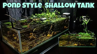 Used an OLD SHALLOW TANK to make a POND STYLE SCAPE! #shallowtank #india #plantedtank #minipond