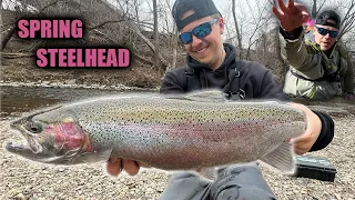 URBAN Spring Steelhead Fishing in the City!