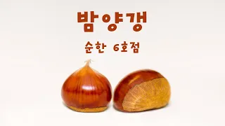 순한 6호점 '밤양갱'