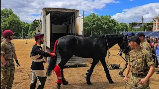 GUARDS LOAD MAGNIFICENT HORSES... but one decides he doesn't want to leave Horse Guards!