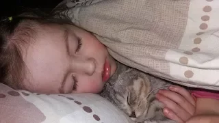 Кошка Спит с Ребенком Шотландская Вислоухая