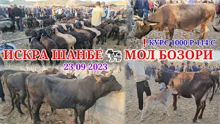 ❗️ИСКРА ШАНБЕ БУГУНГИ 🐄 МОЛ БОЗОРИ 🐏 КУЙ 🐐 ЭЧКИ КАТА МОЛ МАЕДА МОЛ ВА БОШКАЛАР 23 09 2023 ШАНБЕ 🫏🐃🐑