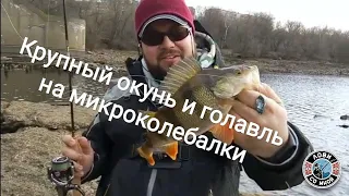 Крупный окунь и голавль на микроколебалки. Весенняя рыбалка 2020.