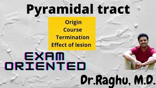 Pyramidal tract | Cortico-spinal tract | Upper motor neuron