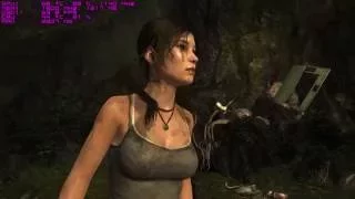 [i5-4590 + r9 280] Tomb Raider test FPS