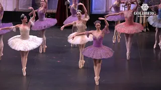 La Bella Durmiente Parte I Ballet Nacional Ruso S. Radchenko