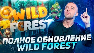 Wild Forest: улучшения, NFT и планы на будущее!