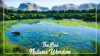Natures Wonders: The Bai | Planet Zoo