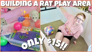 BUILDING A RAT PLAY PEN!🐁