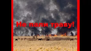 Чому неможна палити суху траву.