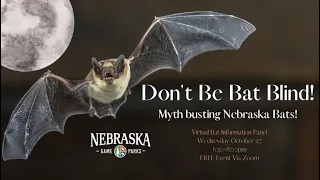 Don't be Bat Blind!  Myth Busting Nebraska Bats