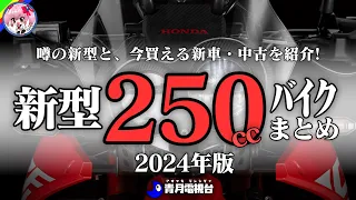 【最新2024年版】今買える250ccモデル、新型国内・海外／中古に激安バイクまとめ【ゆっくり解説】