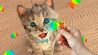 Little Kitten Preschool Adventure Educational Games - Play Fun Cute Kitten Pet Care Gameplay #433