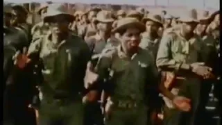 Robert Mugabe the Mass Murderer